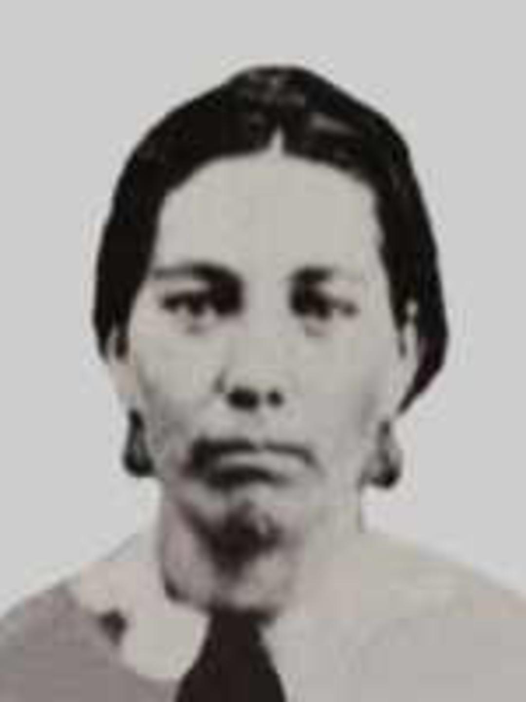 Rachel Robinson Ford (1835 - 1878) Profile